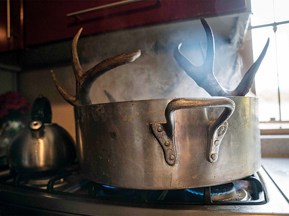 boiling a set of deer antlers