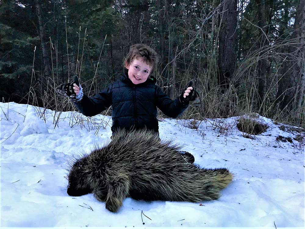 young kid kneeling next to porcupine