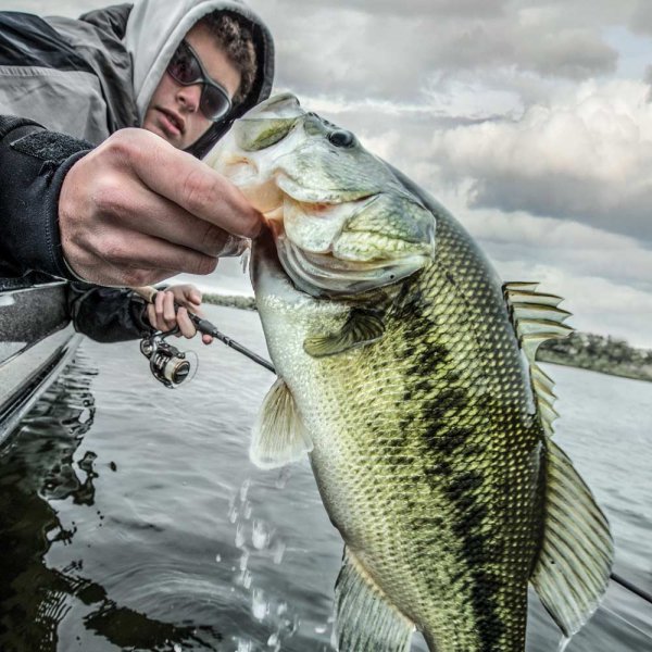 Use Blade Baits and Spoons to Catch Winter Bass