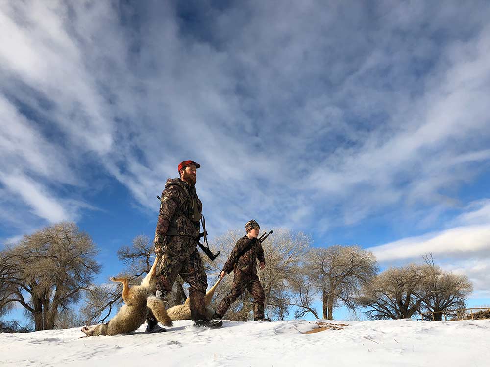 father and son carrying coyotes in snow