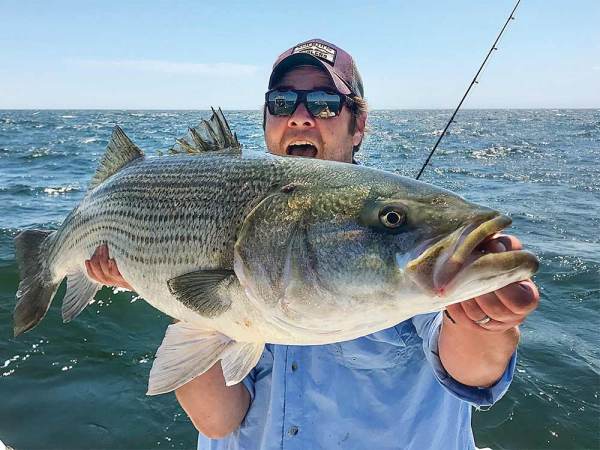 How to Catch Spring Striped Bass on Live Bait