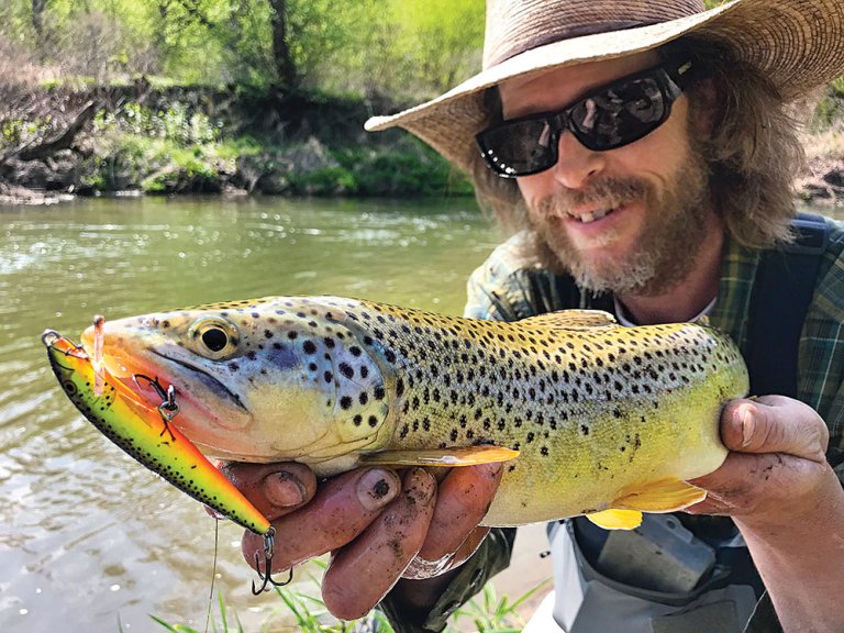 A nice brown trout