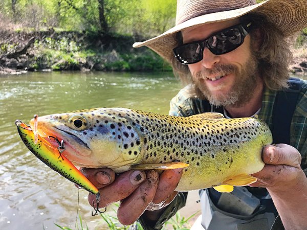 Lessons from the Trout Ninja: How to Catch Monster Brown Trout in Small Streams