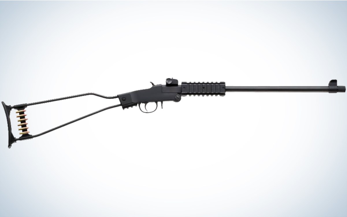 The Six Best Survival Rifles Under $600