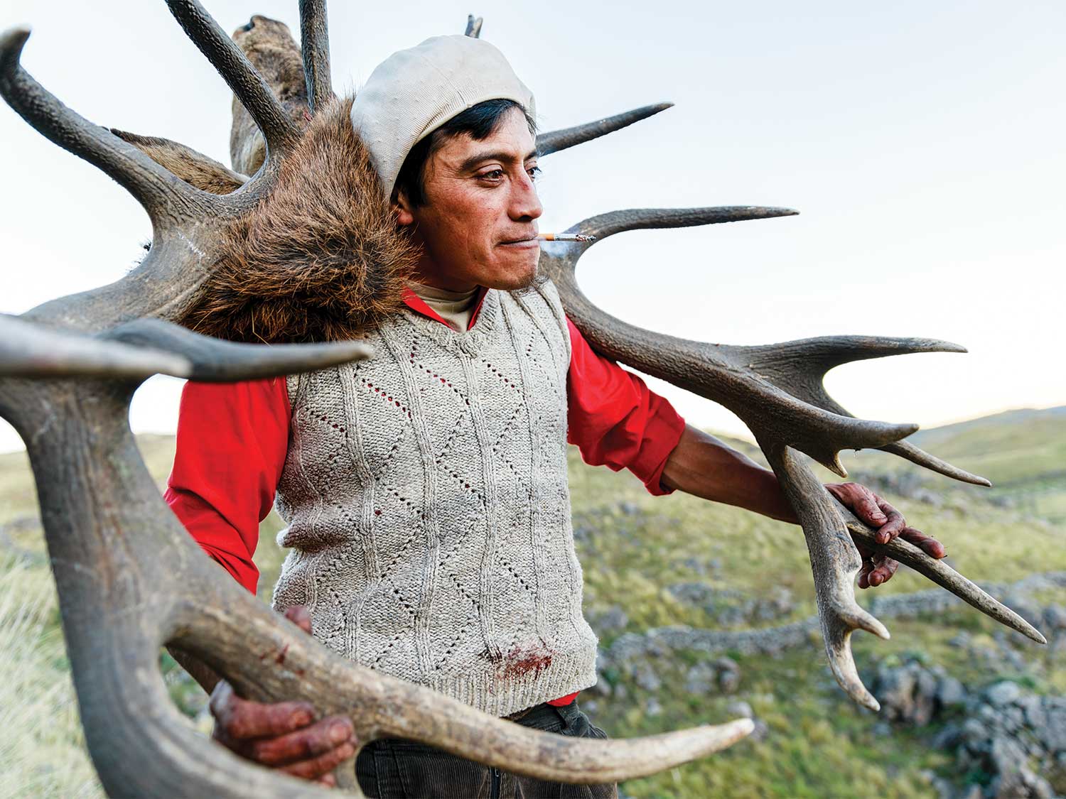 pascual yancanqueo holding giant stag antlers over his shoulders