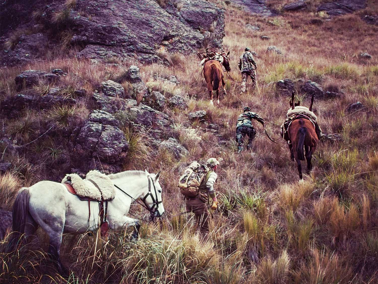 hunters horseback hunting through argentina hillside