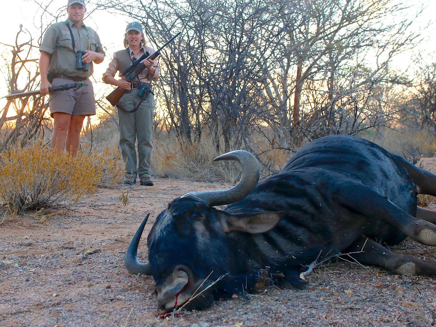 hunters and African blue wildebeest