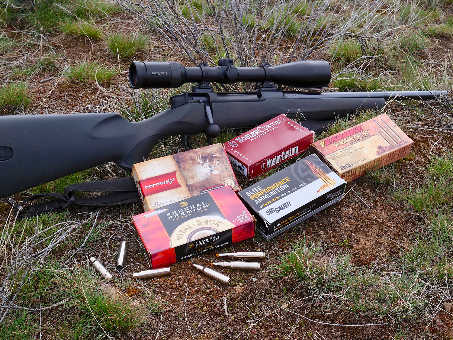variety of ammunition on the gorund next to rifle