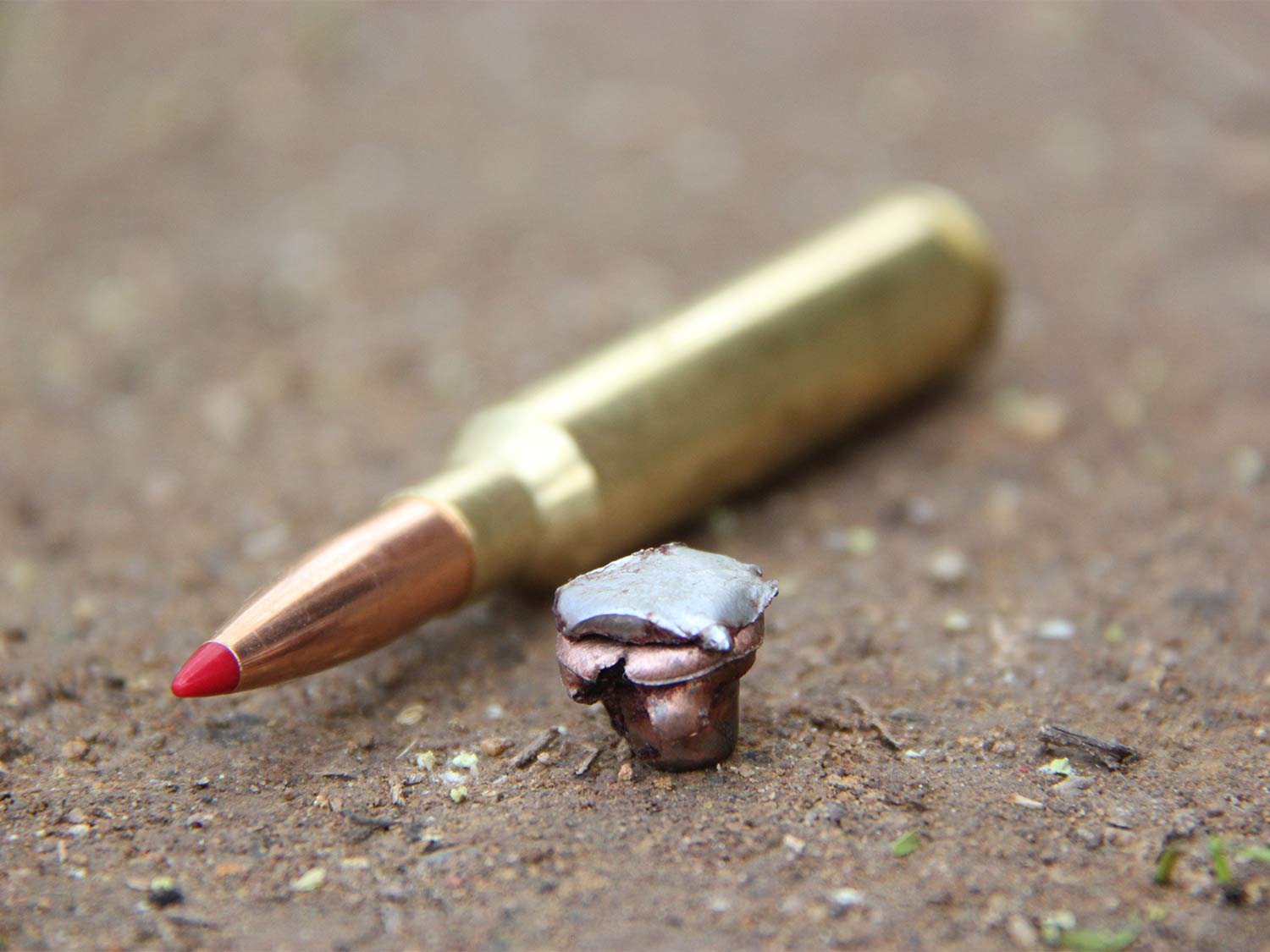 high caliber hunting bullets