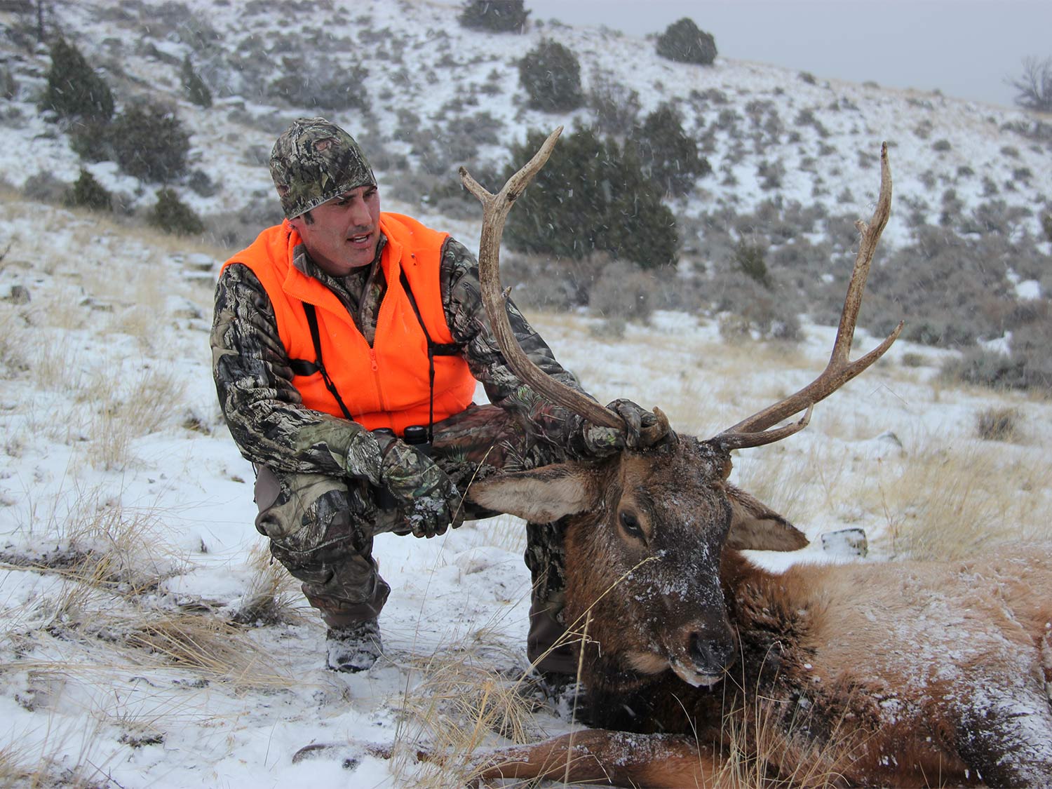 hunter kneeling next to large elk