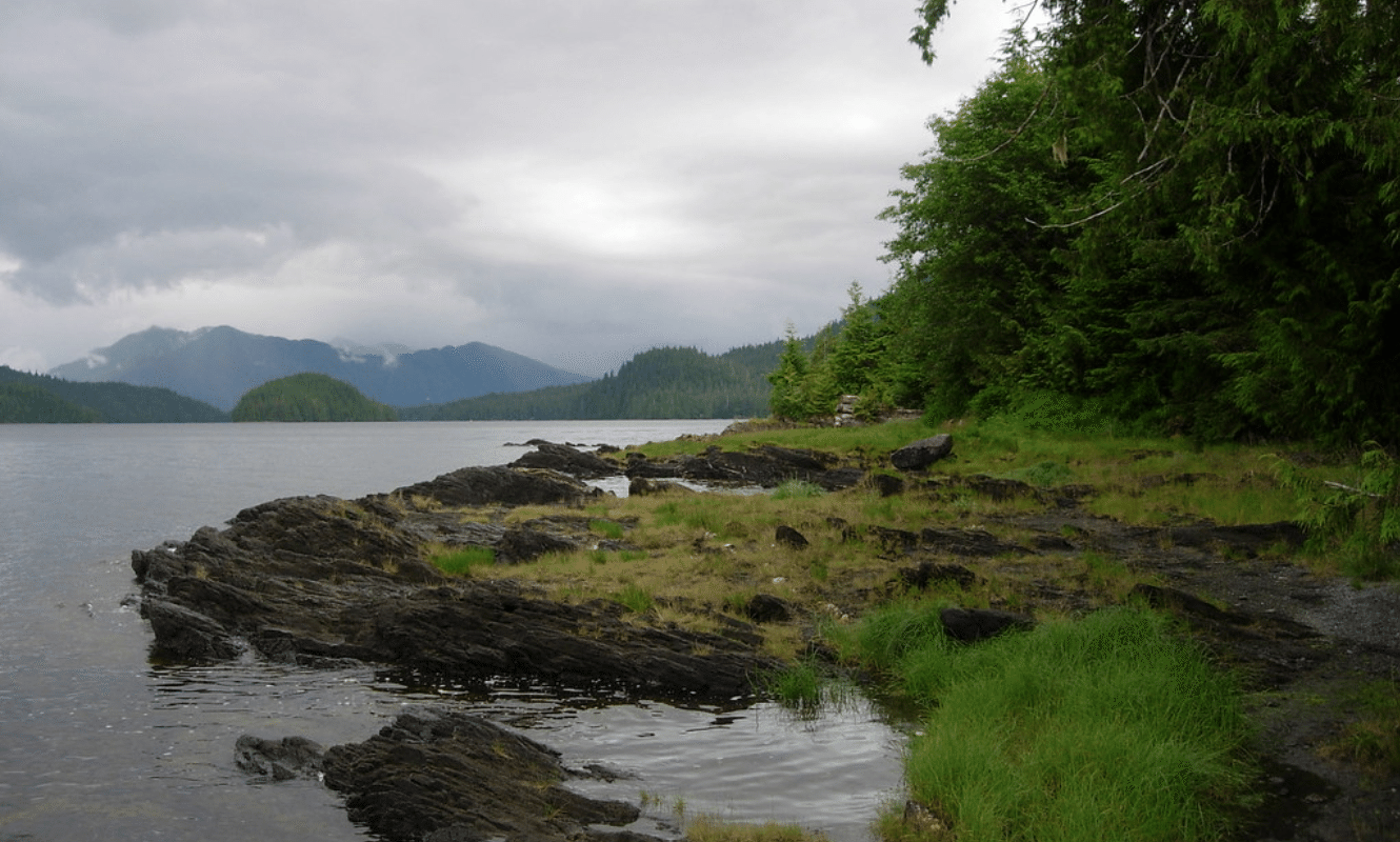 tongass national forest