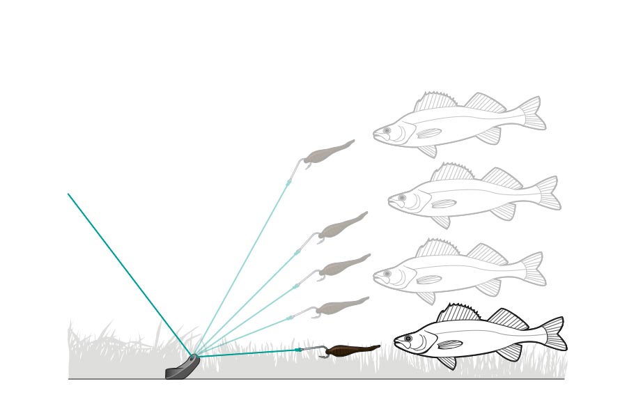 15 Bait Rigs That Will Catch Any Fish Anywhere