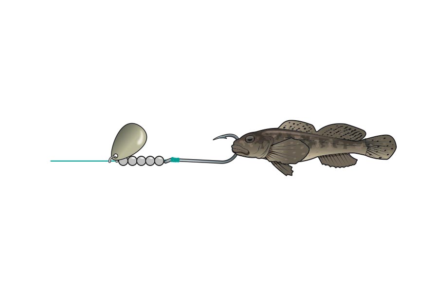 15 Bait Rigs That Will Catch Any Fish Anywhere