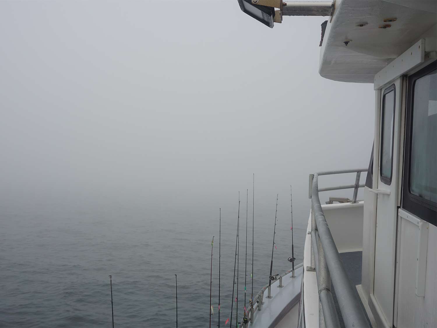 the long island sound filled with fog