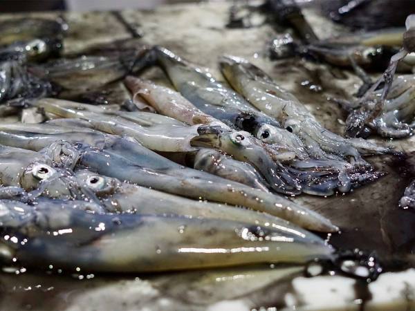 The 6 Most Common Ways Fishing Leads to Injuries, Stitches, and ...