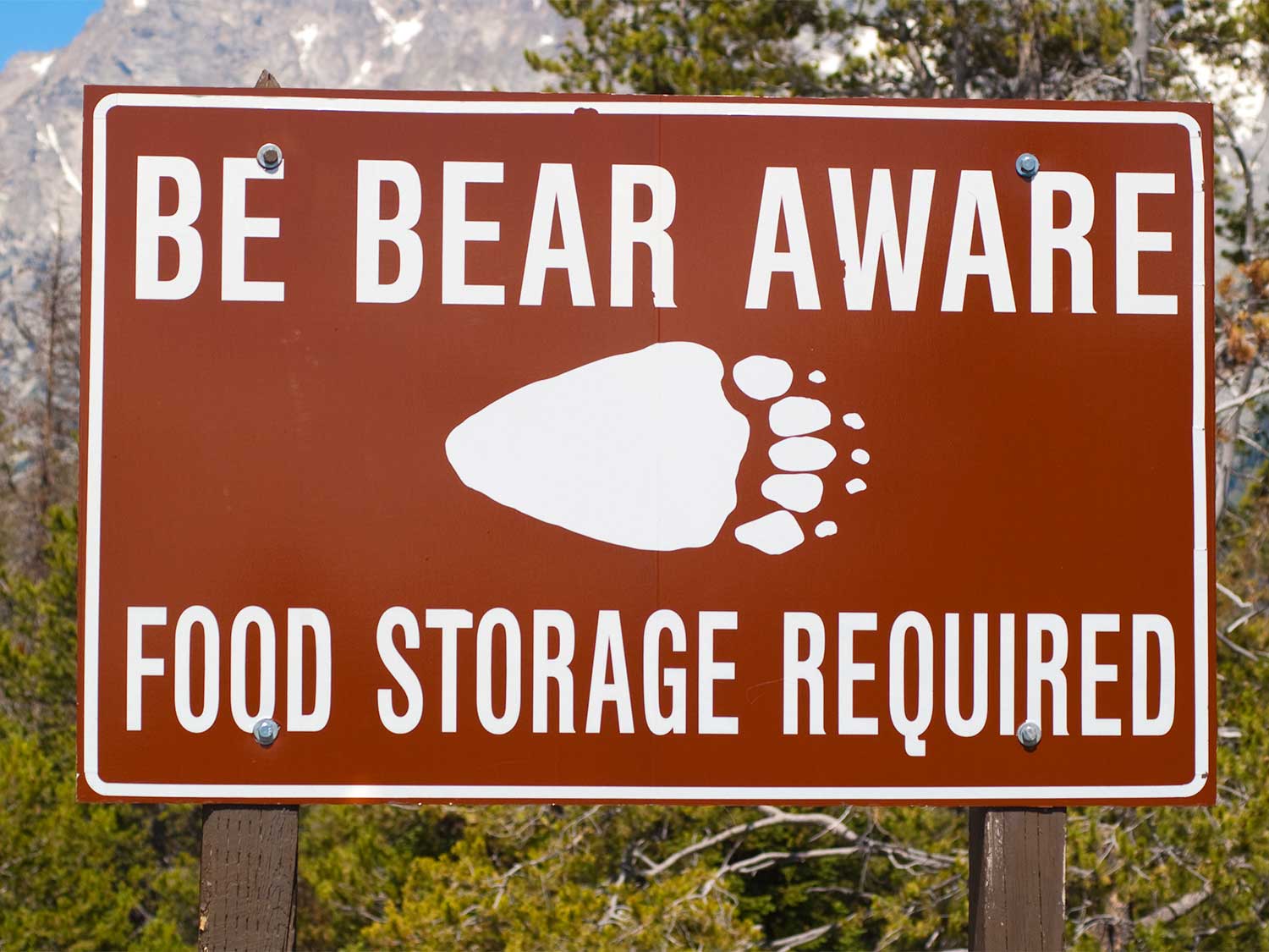 a bear warning sign