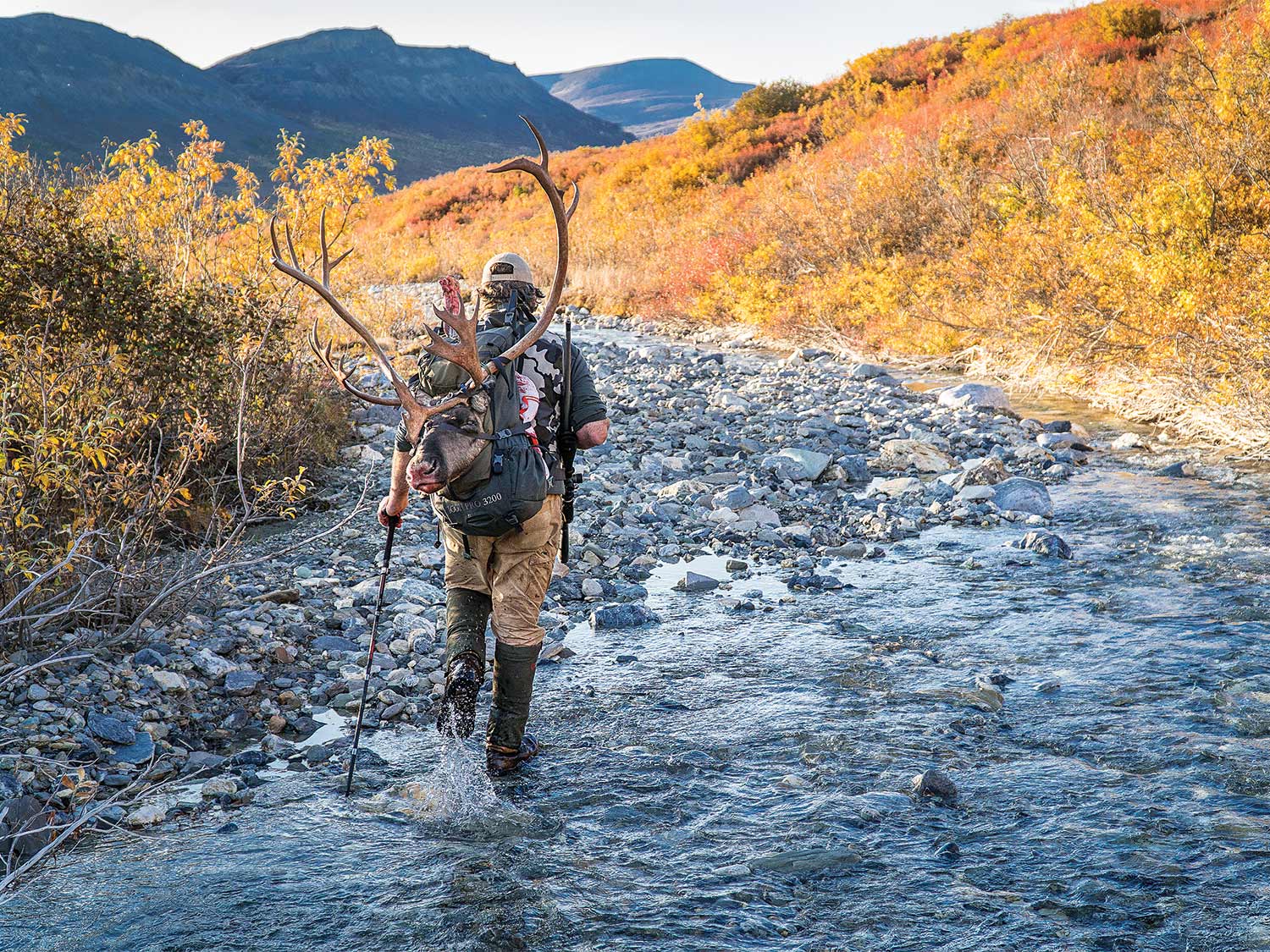 hunter hiking through small stream in Alaska