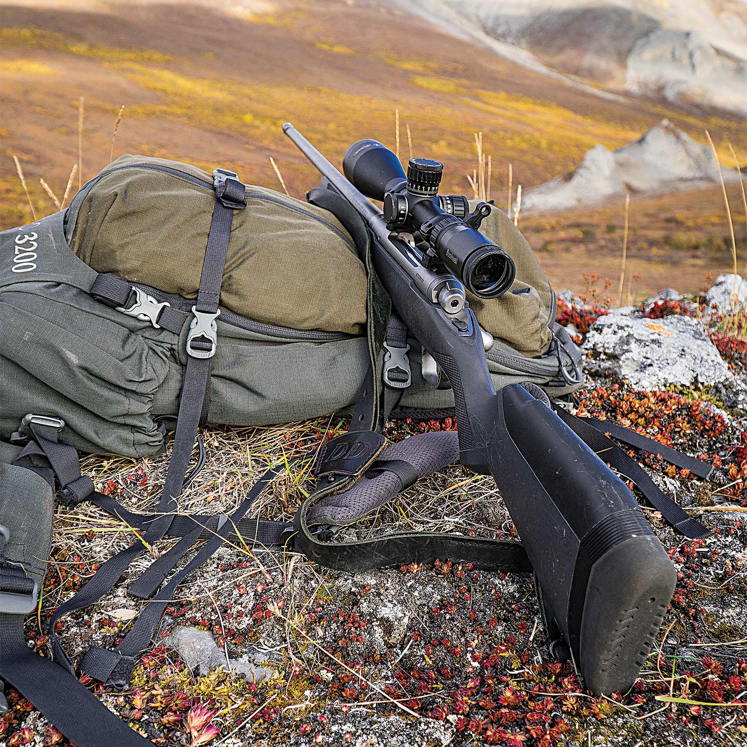 a rifle leaning against a backpack in the Alaskan wilderness