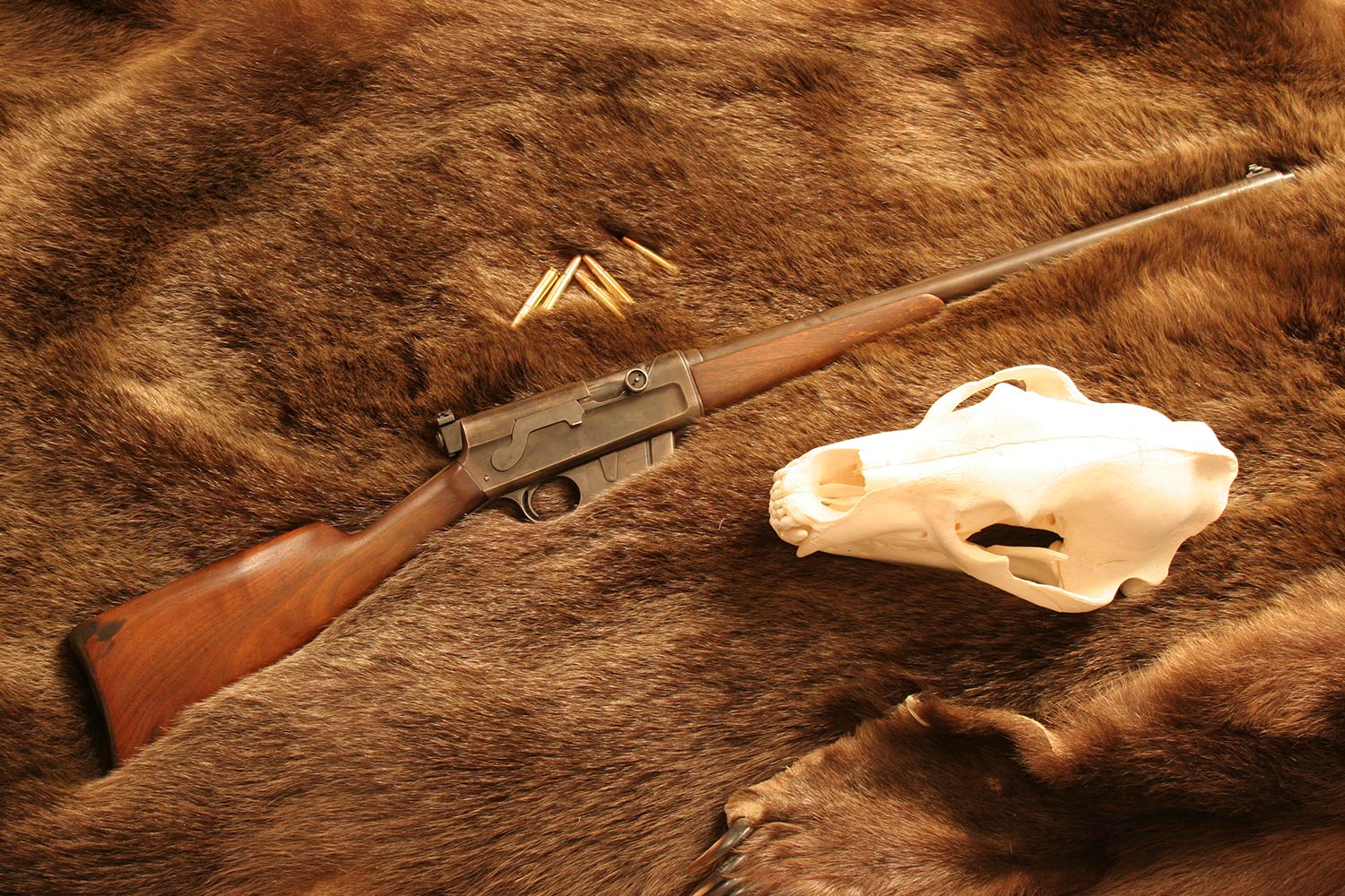 Remington Autoloading Rifle