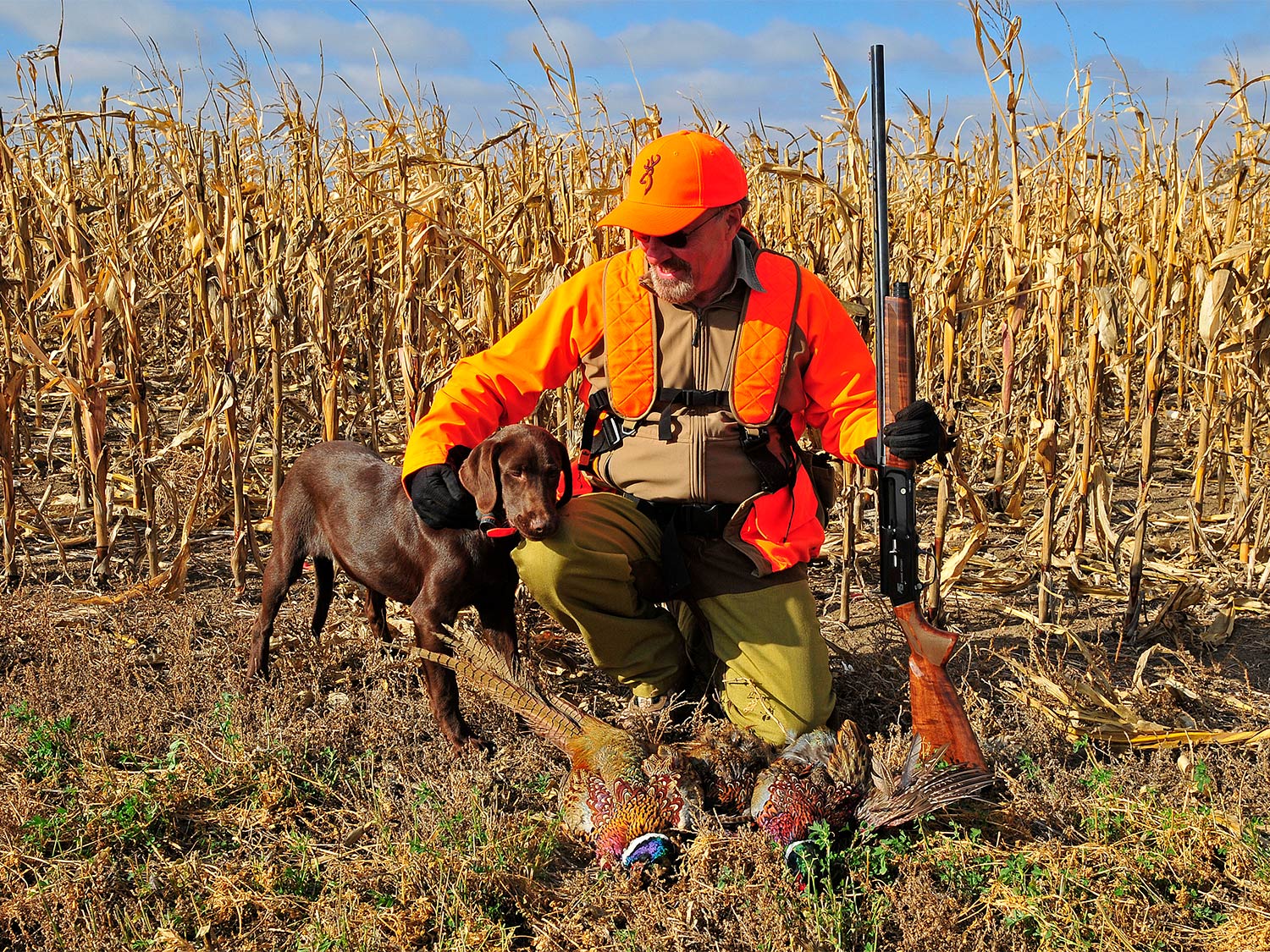 a hunter kneeling behind pheasants with a hunting dog