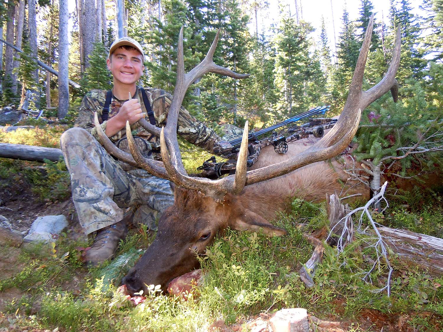 Best Arrows and Broadheads For Elk