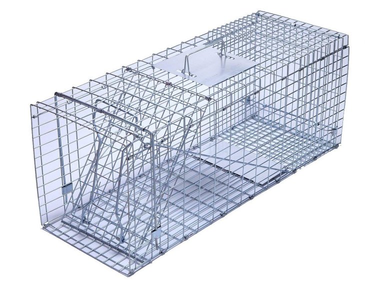 trapro large collapsible humane live animal cage