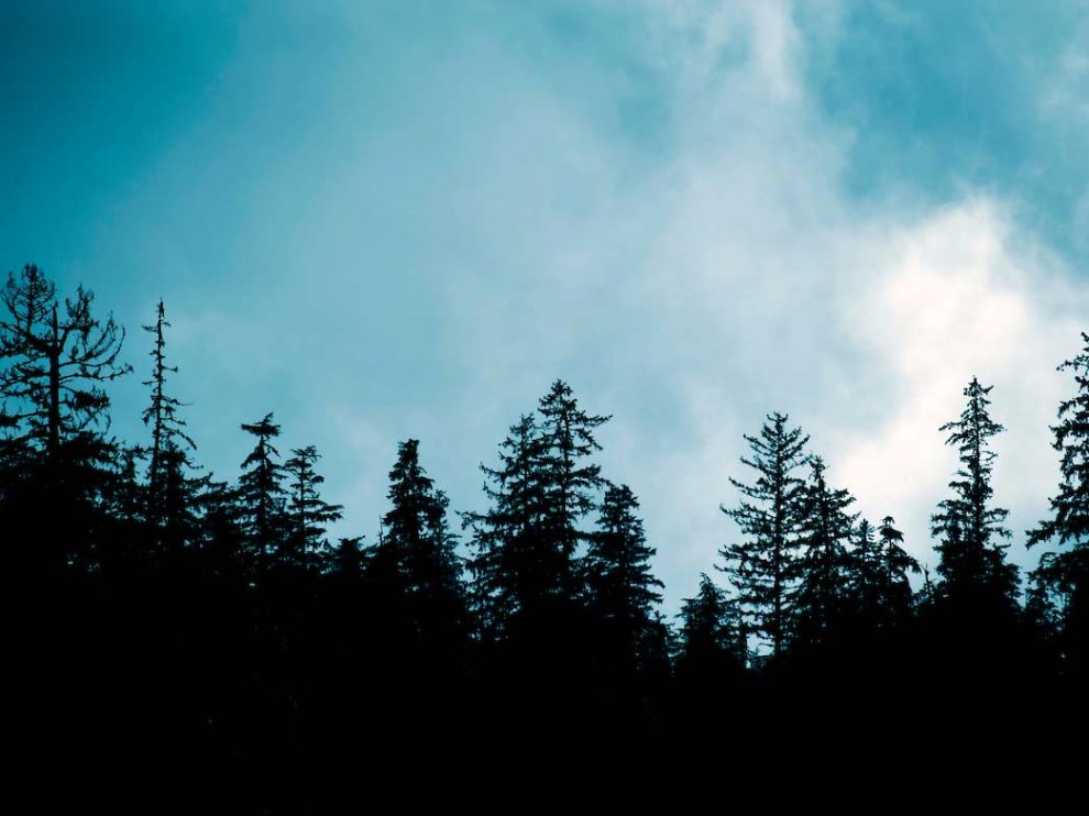 The 11 Most Common Survival Mistakes That Will Get You Killed in the Backcountry