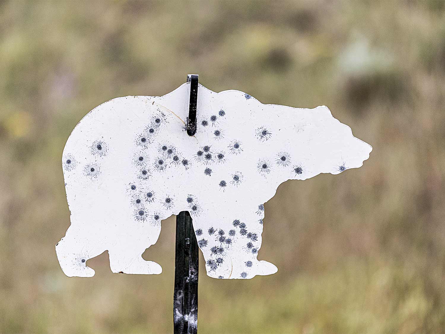 rimfire grizzly target groups
