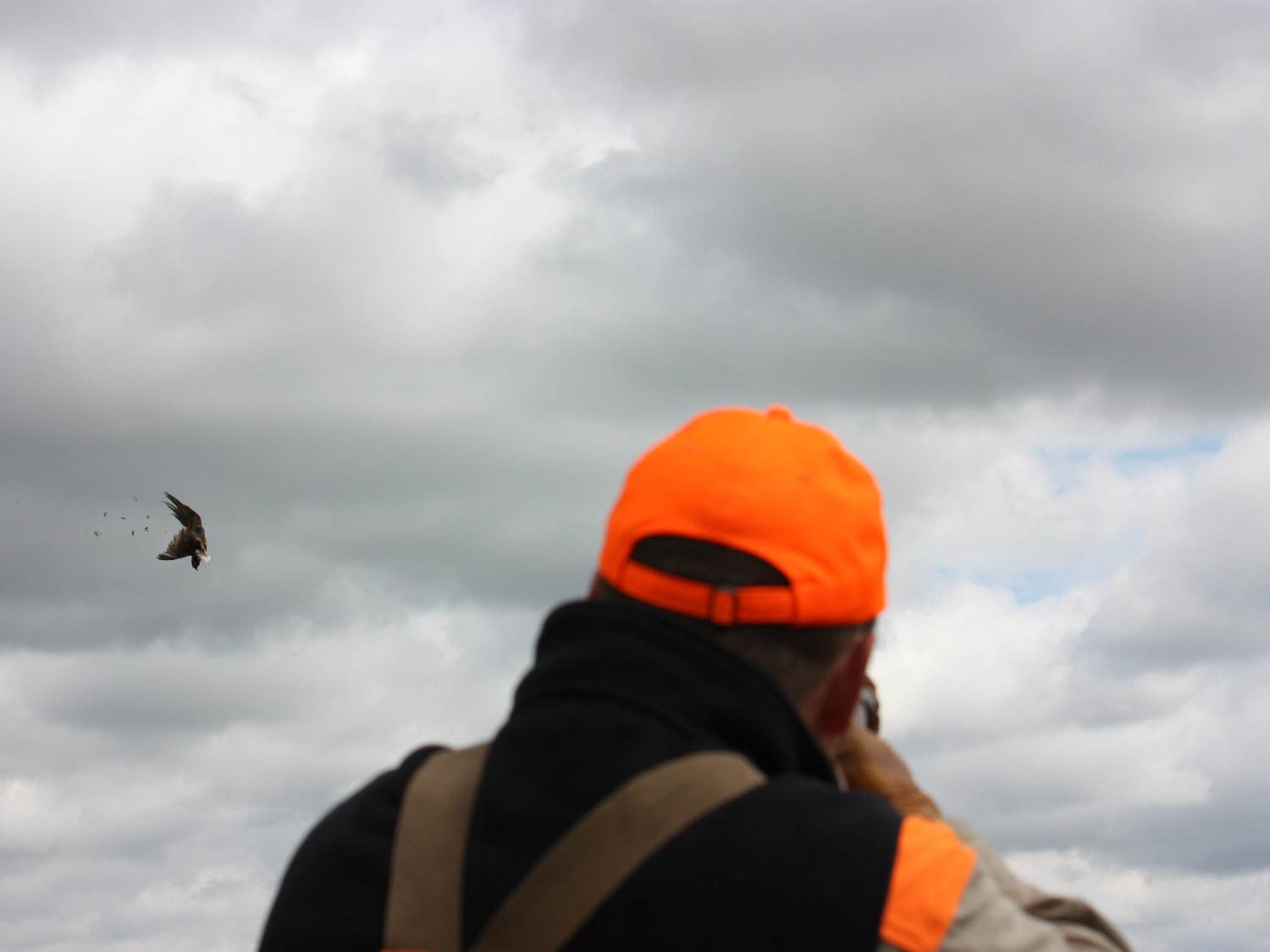 hunter aiming a shotgun at a bird