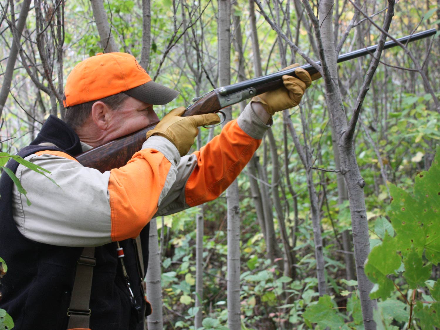 hunter aiming shotgun in the woods