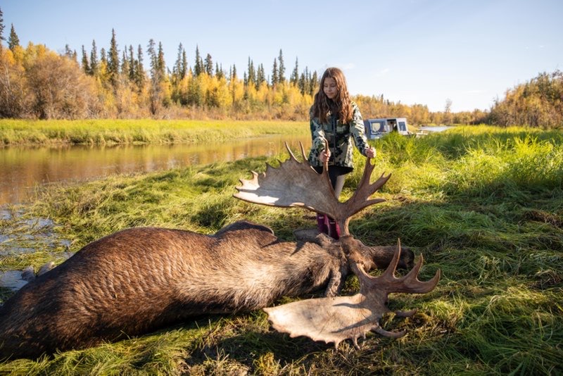 young Alaskan hunter with bull moose