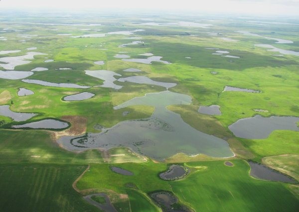 EPA Removes Water Protections and Rolls Back 2015 WOTUS Rule