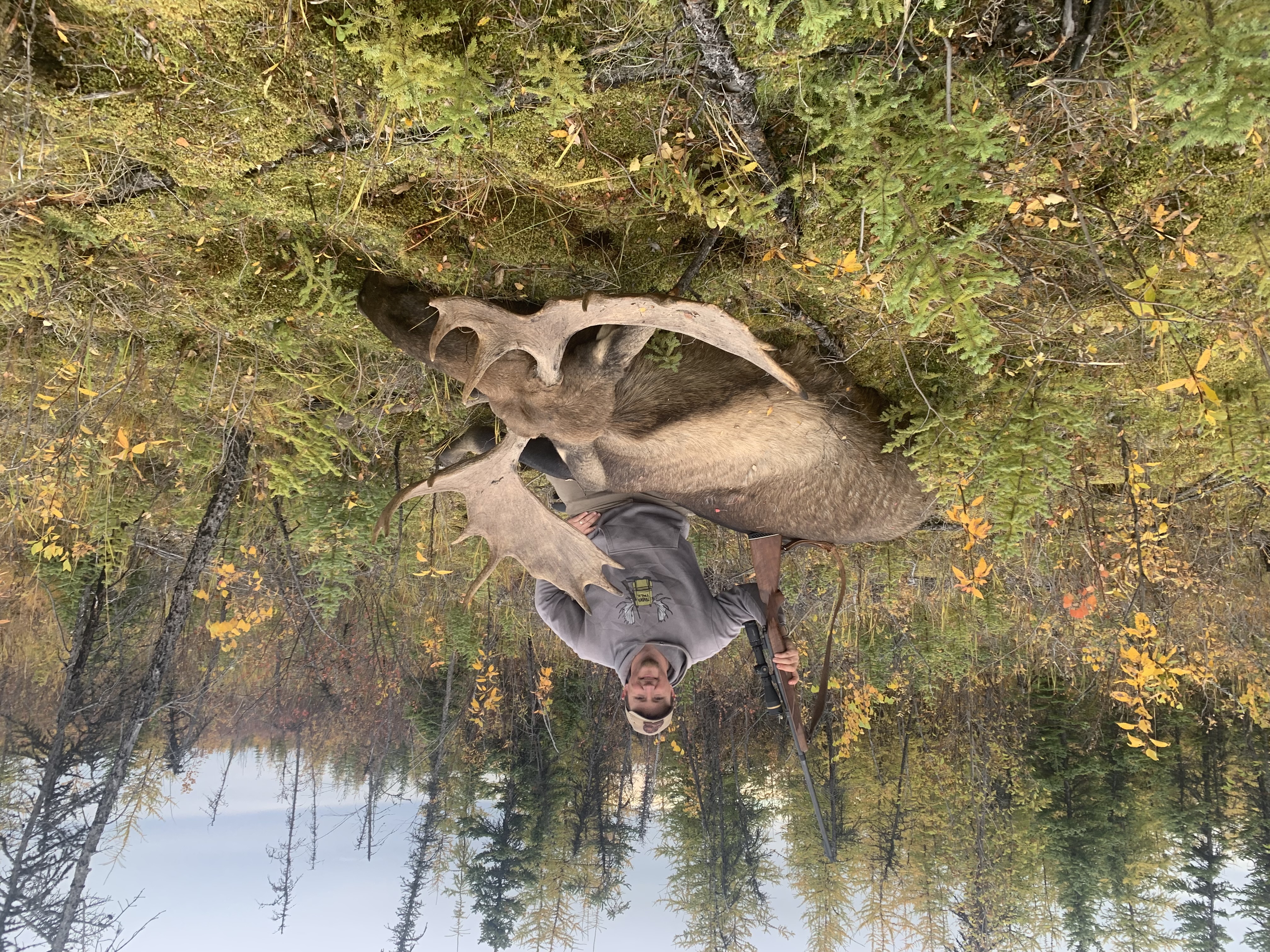 Top 10 Moose Cartridges and Bullets