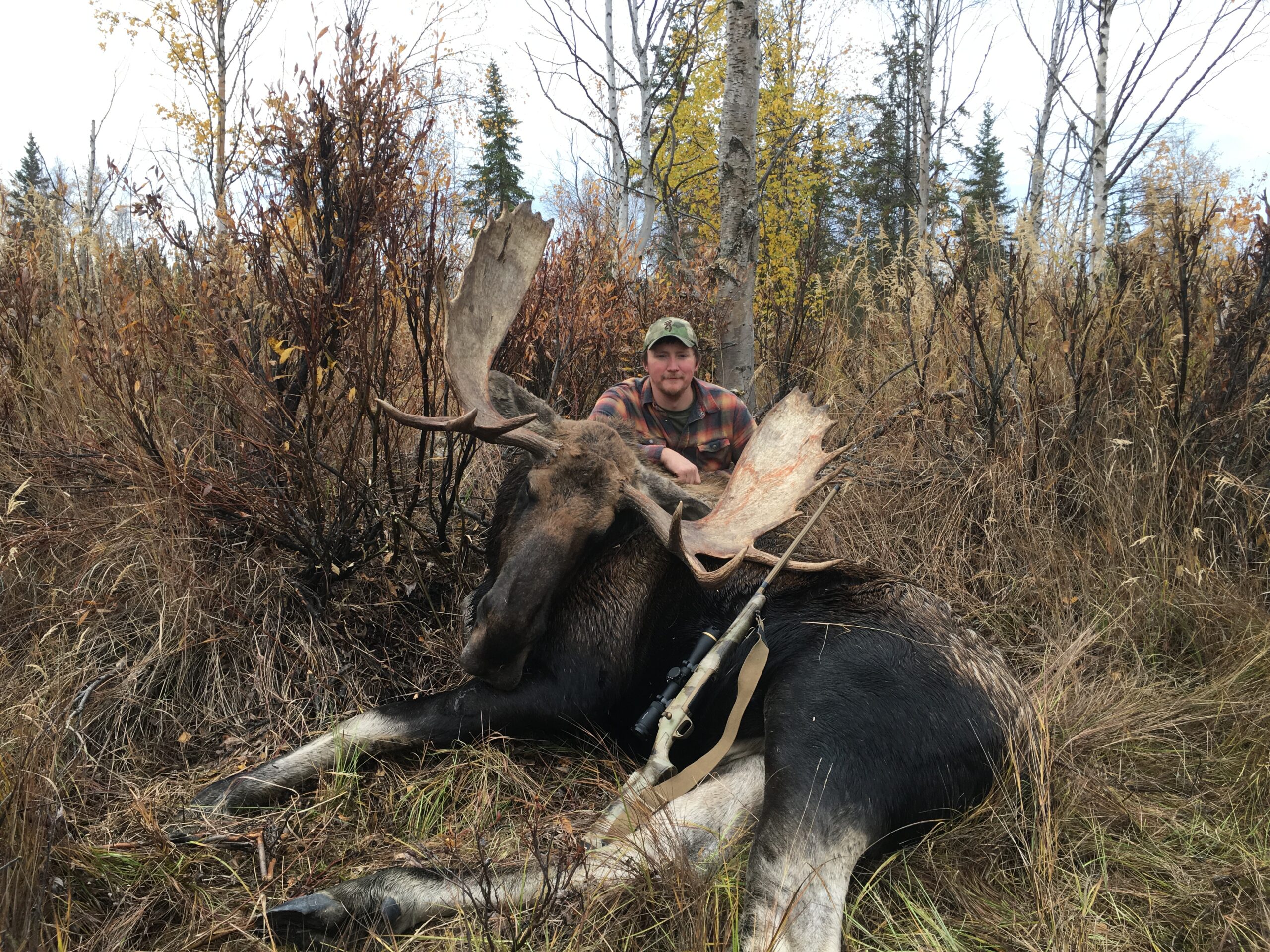 Freel with bull moose