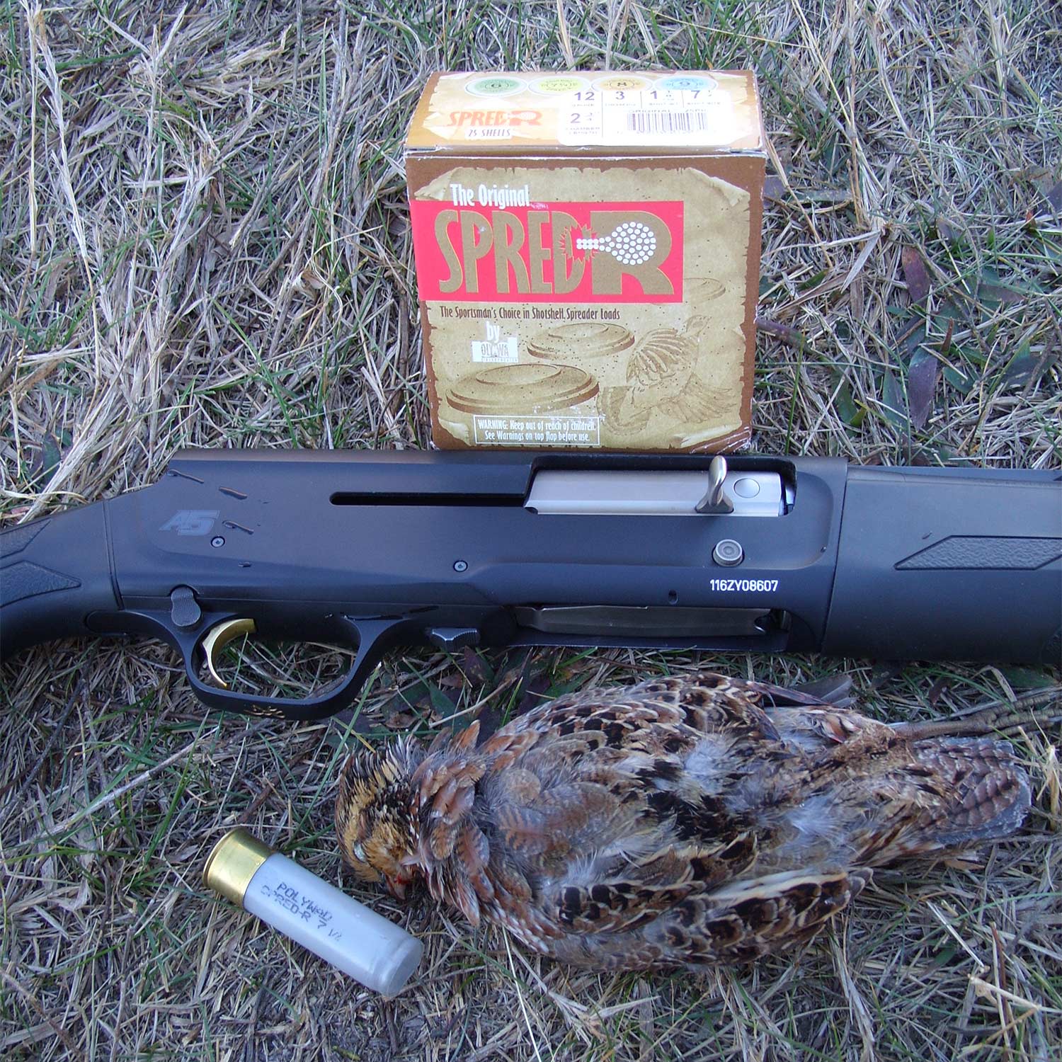 12 gauge hunting shotgun and a quail