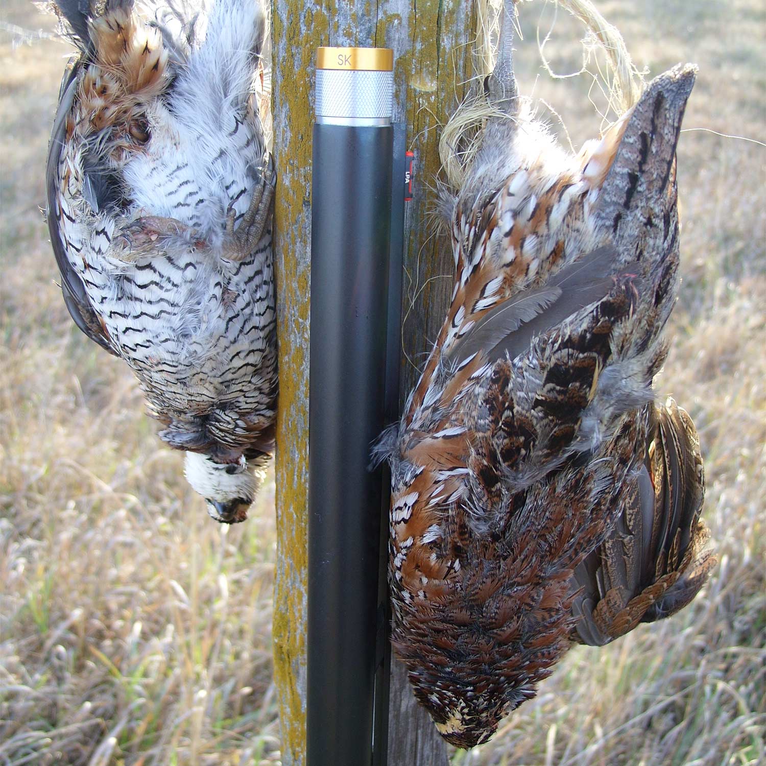 skeet shooting choke shotgun barrel and quail