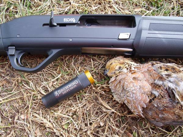 a shotgun choke and quail hunting
