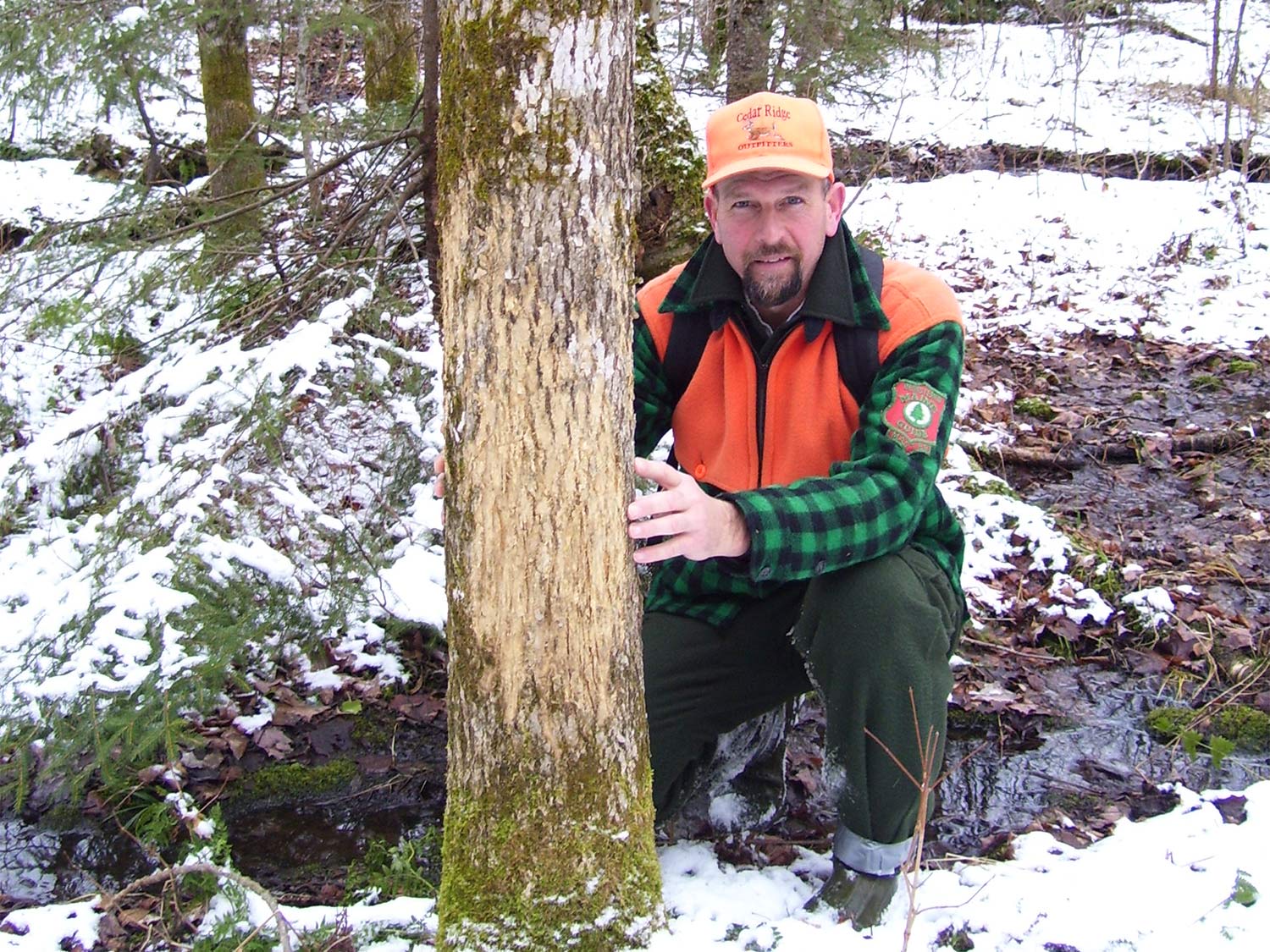 a hunter kneeling behind a deer tree rub