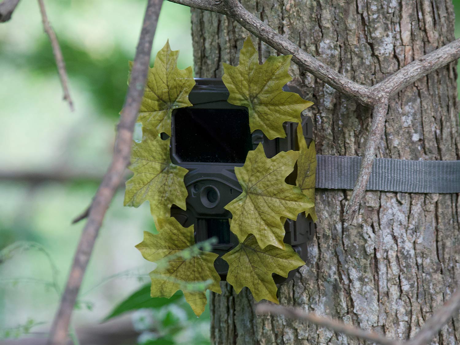 camoflage trail camera
