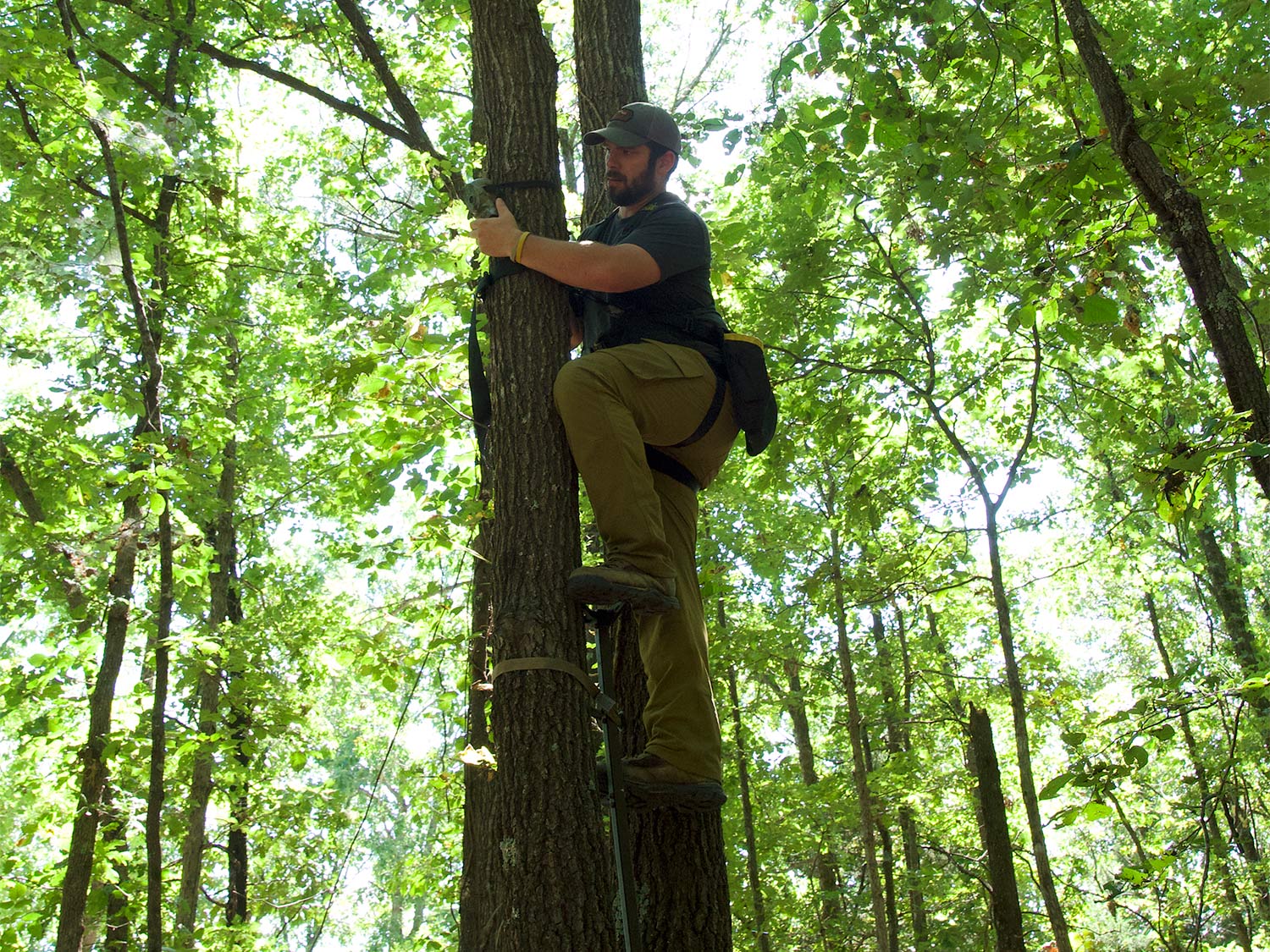 hunter hanging a trail camera high up a tree