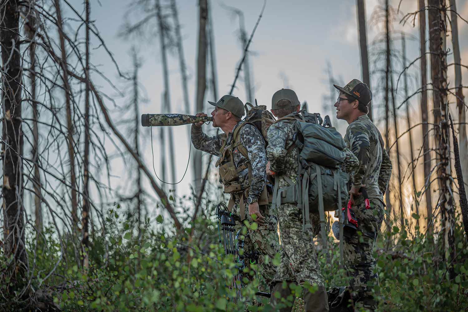 hunters walking through the woods while calling elk