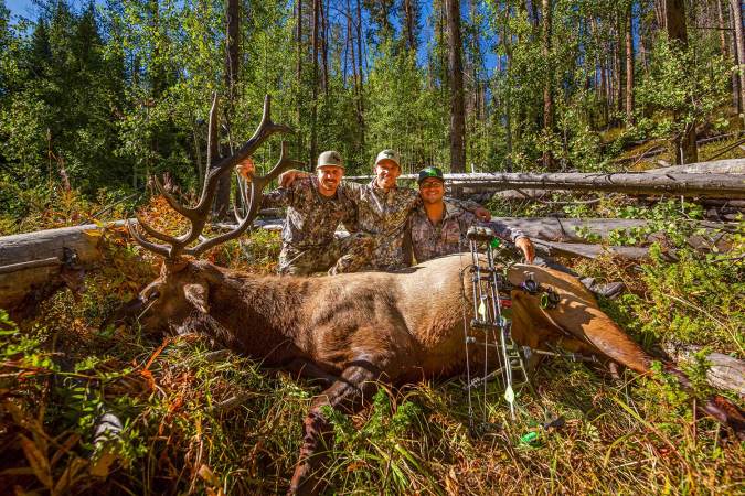 The Ultimate Guide to Elk Hunting