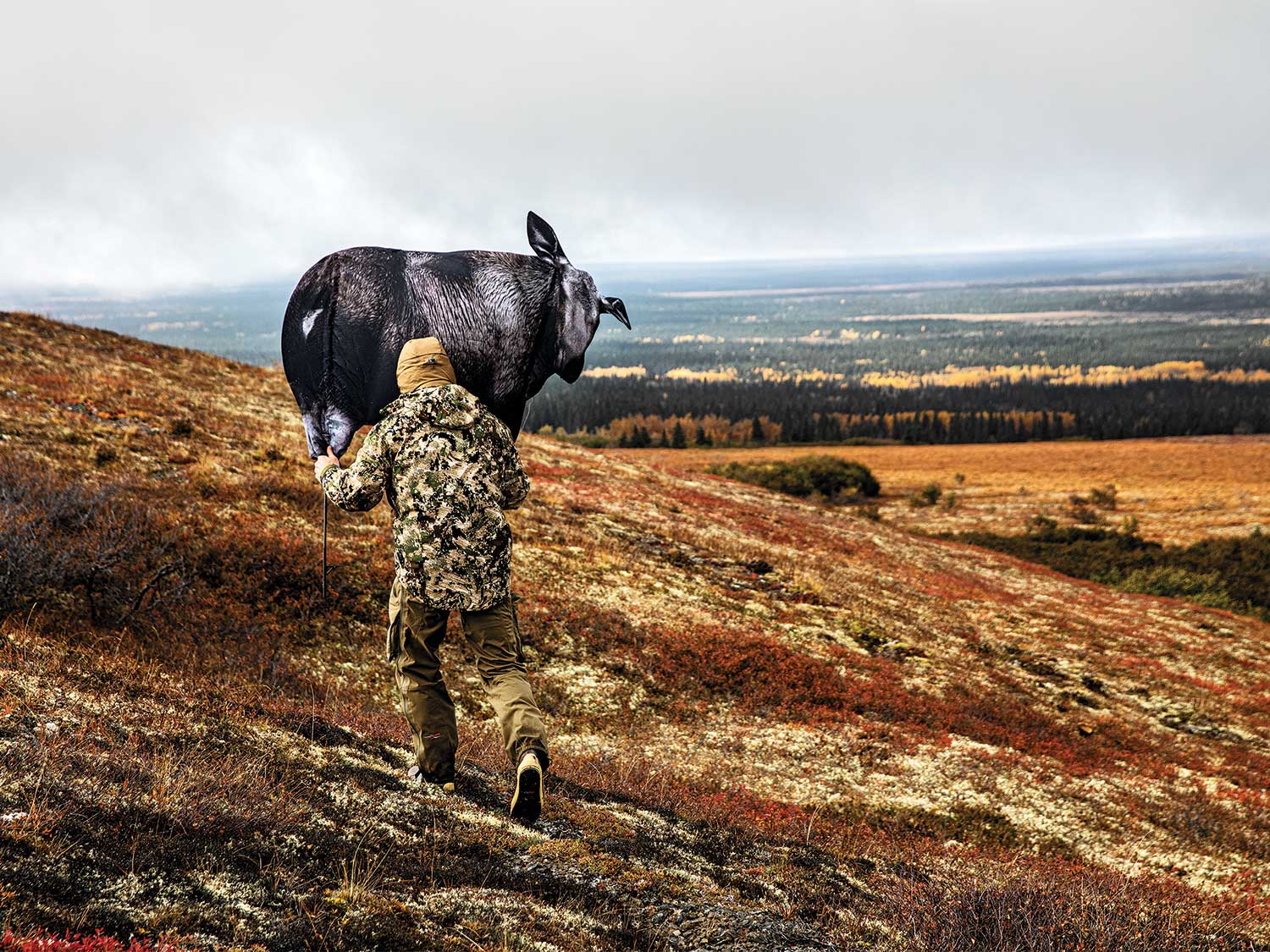 hunter setting up elk decoys on an alaskan hillside
