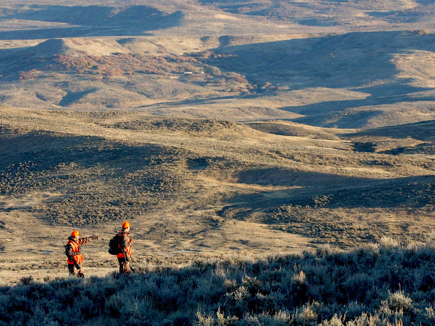 Hunters walking across a hillside