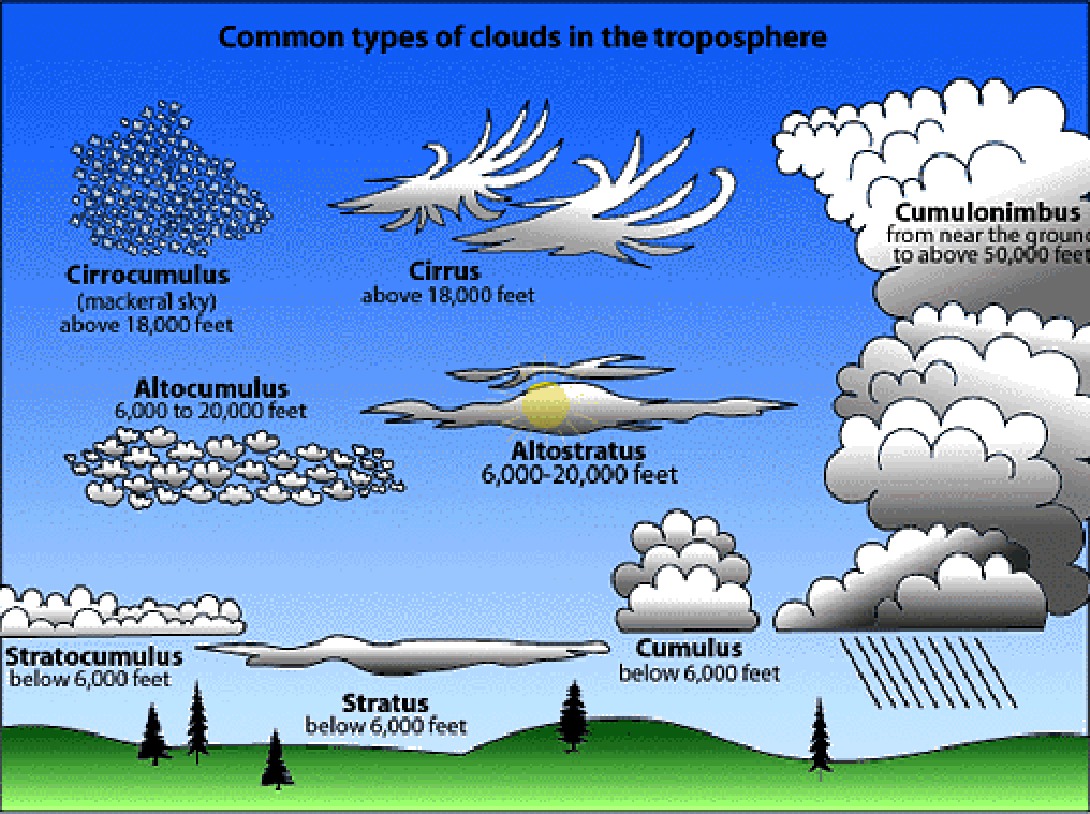 How cloud movement influences deer movement.