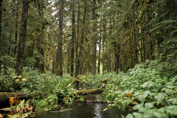 The Forest Service Wants to Open 9.2 Million Roadless Acres to Potential Logging. Here’s Your Chance to Say Something About It