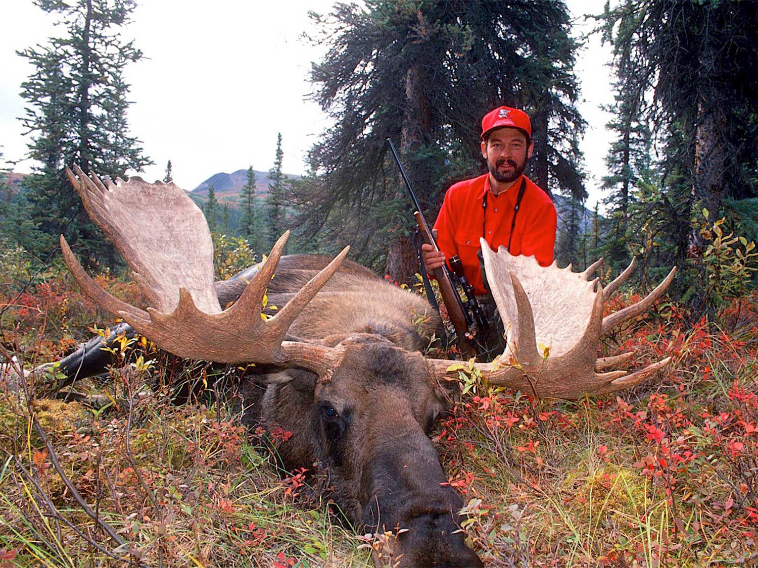 a hunter kneeling behind moose