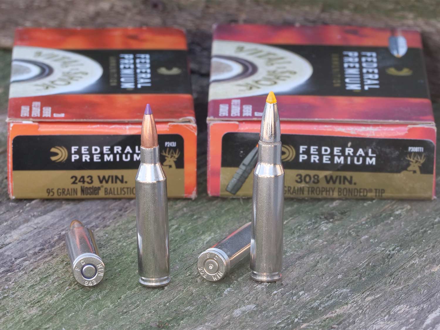 243 winchester and 308 winchester ammo