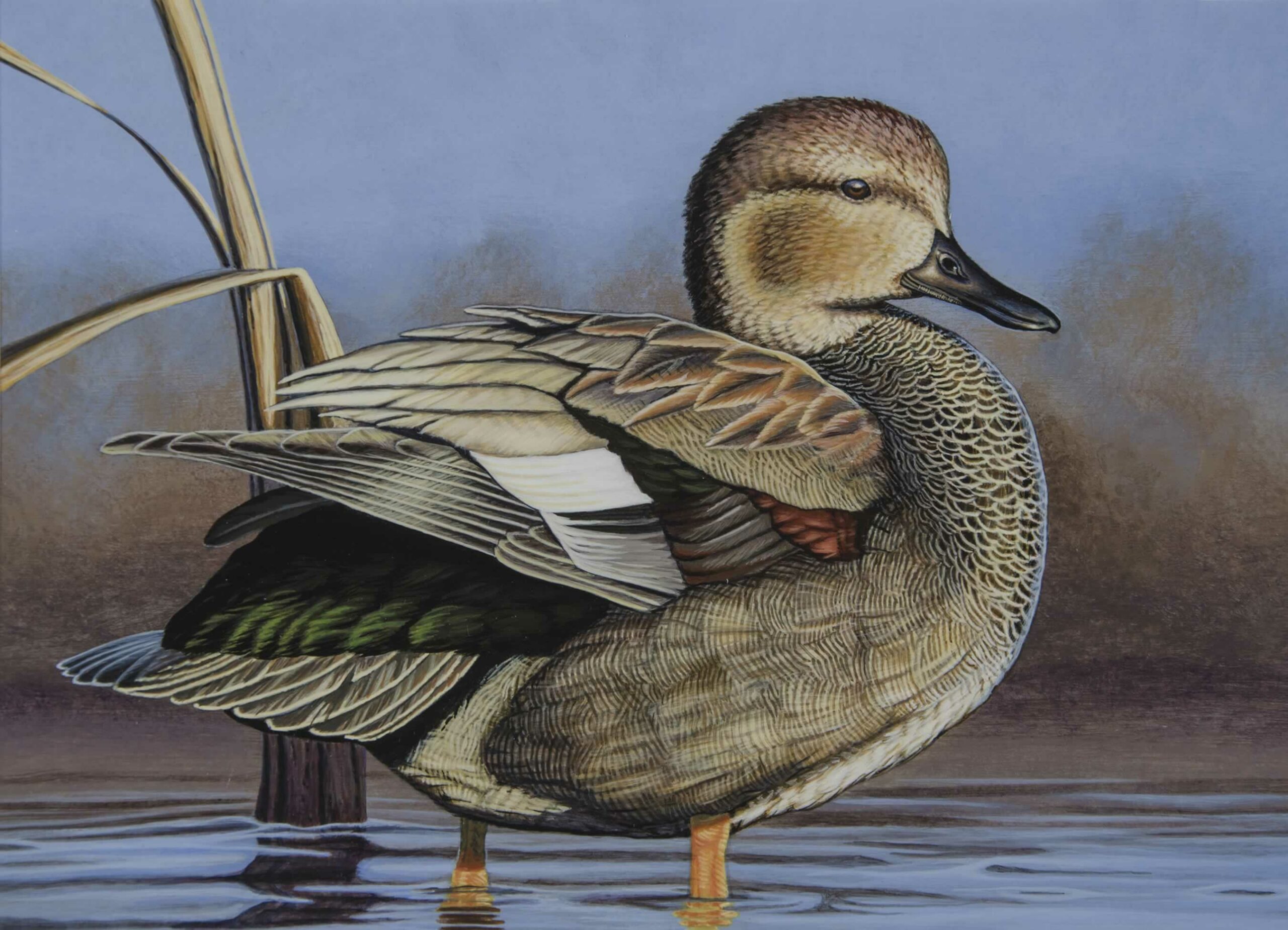 mn waterfowl stamp