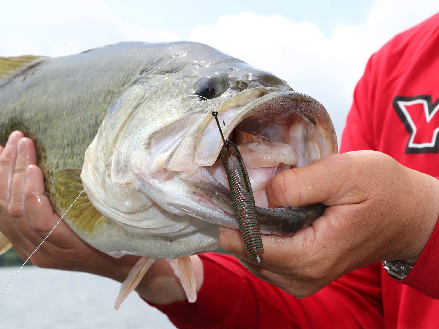 6 Reasons Green Pumpkin Is the Best Bass